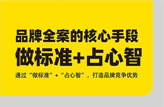 品牌全案策劃——“做標(biāo)準(zhǔn)”與“占心智”